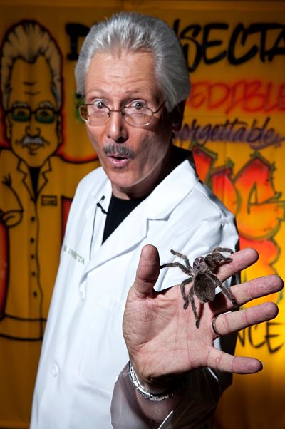 Dr. Insecta